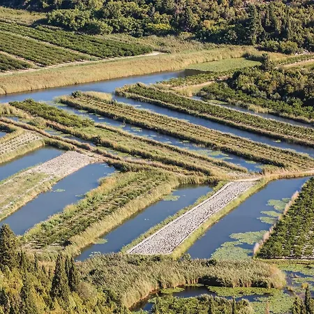 1 Bedroom Gorgeous In Rogotin-ploce *