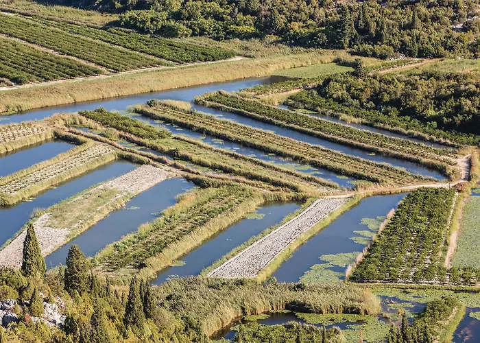 1 Bedroom Gorgeous In Rogotin-ploce *